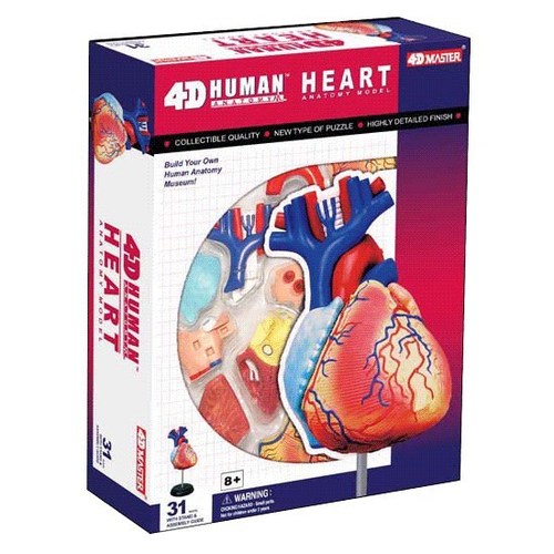 4D 퍼즐 심장 해부모형